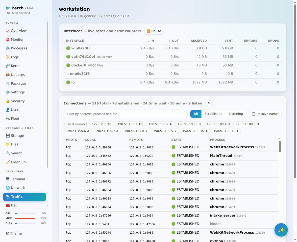 Traffic: per-interface rates and live connections with owning process